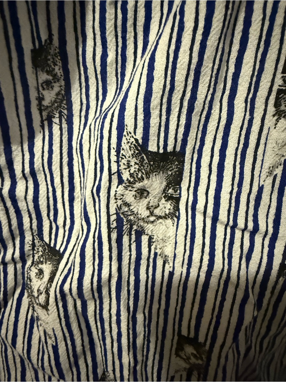 Cat Print dress - Picture 4 of 4